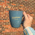 Grassroots Mugs